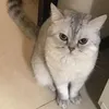 qa_12344