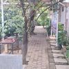 tafka77