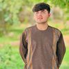 shahramamini06