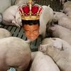 king_of_ping777