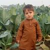 saddaim.hussein.k
