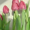 tho_498
