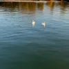 _chelsea042