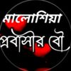 প্রবাসীর বউ..☺️🇲🇾✈️