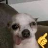 knownascarl1
