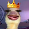 gheniccc