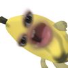 kiaanotkiya_