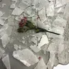 .liaaajuv