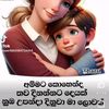niluka.niluka73