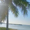 arlene.carvalho48