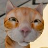 oyen_gk_waras