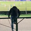 marco.31086
