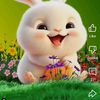 user520370443