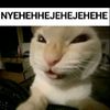 artem14067