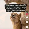 fati.zahra9523