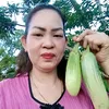 tphan1245