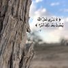 ikram.lina8