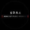 tiktok.edaa