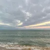 mlizz.14