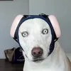 diabaddie1