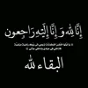 mohsain.mohsain06