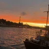 axl_566