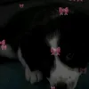 vuvu_novakova