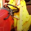 vy_teri_chatthi_taaaaa