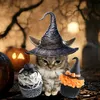 gatito1554