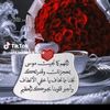 user6813035343512