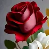 eternalxrose_