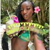 brooklyn_adm