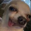 luxxisbetterthanyou