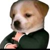 master_zeuzz