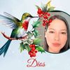 lili.castrillon8