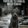 ezequiel.franci37