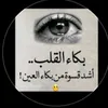 user4037451777400