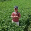 ahmed.ramadan7891