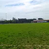 deimarrojastorrez