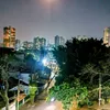 vilma.nogueira61