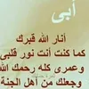 user881395926146