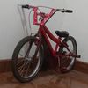larojita761