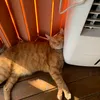 bbrunitoouu