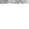 user600620162658