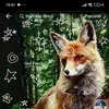 nicknick0111