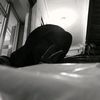 .anomaliimup