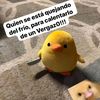 pousudado2