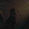 prestonh61
