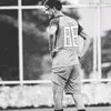 polly_0018