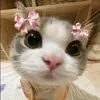 mark.tanya2